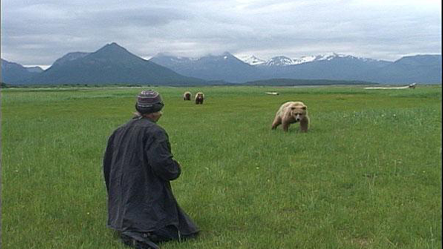 Grizzly Man — Périphérie